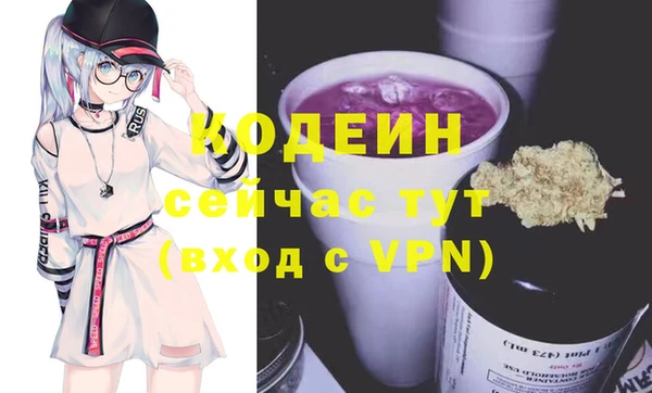 индика Абаза