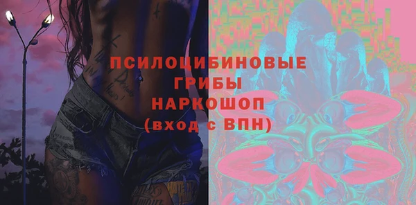 дживик Абинск