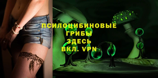 индика Абаза