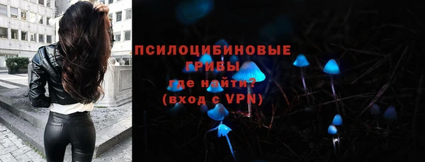 дживик Абинск