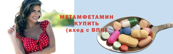 индика Абаза