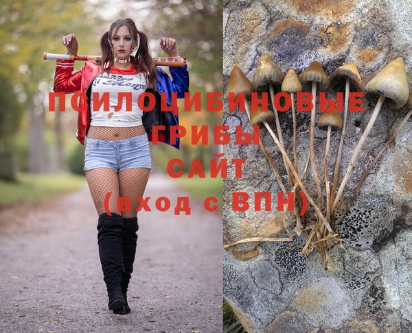 индика Абаза