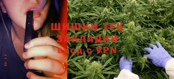 дживик Абинск