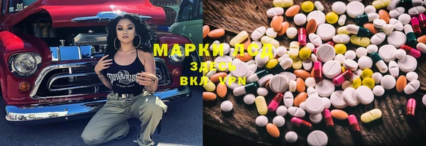 индика Абаза