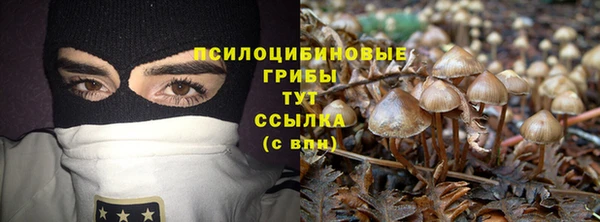 дживик Абинск