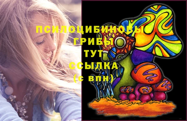 индика Абаза