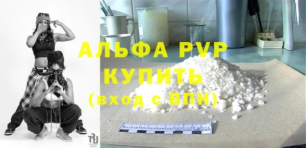 индика Абаза