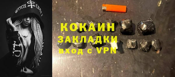 индика Абаза